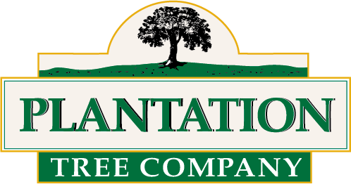 Plantation Tree Company